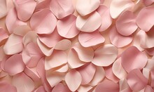 A Bunch Of Pink Petals On A White Background With Pink Petals.  Generative Ai