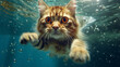 Die Schönheit der Unterwasserwelt: Eine Katze in ihrem Element