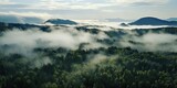 Fototapeta Las - Unveiling Nature's Tapestry: Stunning Drone Photography of Green Woodlands, Cloud-Adorned Canopies, and Tranquil Lakes. Generative AI