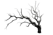 Dead Tree Isolated On A Transparent Background. AI