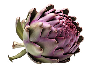 Canvas Print - Closeup of an Artichoke Isolated on a Transparent Background. AI