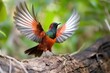 hummingbird taking off, spreading its wings and flapping its tiny wings, created with generative ai