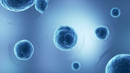 Wall Mural - human cell or embryonic stem cell microscope background.