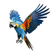 Leinwandbild Motiv macaw bird animal