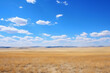photo ofblue sky and steppe style 2
