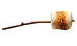 Toasted marshmallows on a stick isolated on transparent or white background, png