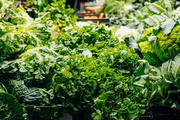 Close up photo of eco and bio greens from local farm.