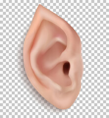 Pointy ear of elf. Realistic 3d vector elven large ear isolated on transparent background. Suitable for Santa elfs, forest elfs, fairy tale elfs and etc. Close up frontal plane