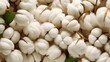 © Mohammad - White cotton, Pure organic cotton for textile and fashion industry, Environmentally sustainable ESG 2050