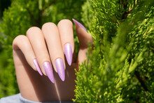 Female hand with long nails with glitter nail polish. Long pink nail design. Woman hand with pink manicure on tropical background