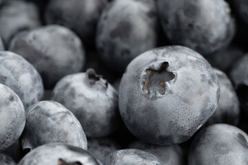 Canvas Print - Lots of blueberries close up. Useful berries to strengthen immunity