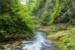 © Sarah Rypma - Lush Landscape of Radovna River Valley in Vintgar Gorge, Slovenia