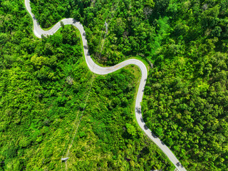 Poster - Road in the middle of the forest , road curve construction up to mountain, Rainforest ecosystem and healthy environment concept
