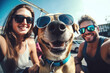 © Robert Kneschke - Cute selfie of couple with dog wearing sunglasses