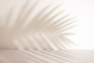 Poster - Minimalist empty room with palm leaf shadow