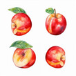 Watercolor nectarine illustration with vibrant hues.