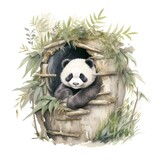 Fototapeta  - Hiding Panda Watercolor Clipart, Panda Watercolor Illustration, Cute Panda, Panda Hideout, made with generative AI 