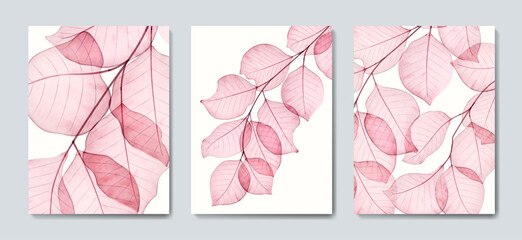 Wall Mural - abstract art background with transparent pink tree leaves in a watercolor style. set of botanical po