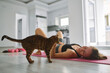 © Westend61 - Happy young woman stroking cat and exercising at home