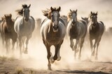 Fototapeta  - Herd of wild mustang horses galloping wildly in nature