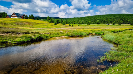 Wall Mural - Rural grassland landscape in the settlement of Jizerka in the Jizera Mountains. Stream in the Jizerka Hamlet in the summer season.