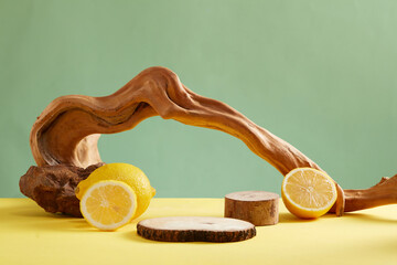 Minimalist creative background for cosmetic or product presentation with ingredient from lemon. On a green background, dry twigs decorated with fresh lemon and lemon slices. Front view