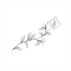 Wall Mural - Hand Drawn Orchid Flower Arrangement. Floral Decorative Design Element. Branch - 3