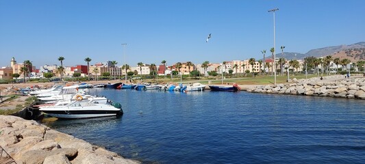 boats in the harbor