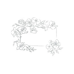 Wall Mural - Hand Drawn Orchid Flower Arrangement. Floral Decorative Design Element. Text Frame.