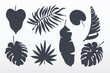 Tropical leaves collection. Set of tropical leaves silhouettes vector illustration.