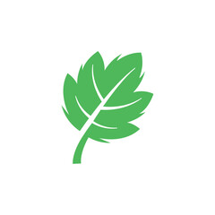 Wall Mural - grape leaf icon