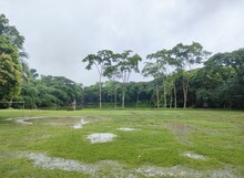 A Grassy Area With Trees And A Cloudy Sky.