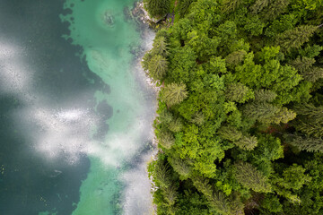 Sticker - Green pine tree forest at emerald lake. Aerial drone view, top down. Beauty in nature