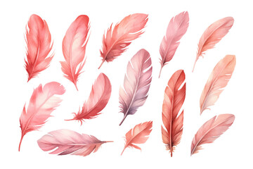 Poster - hand painted watercolor pink feathers. Flat vector illustration isolated on white background