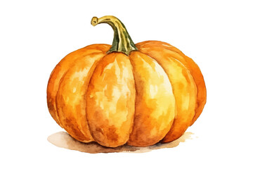 Poster - Watercolor hand drawn pumpkin . Flat vector illustration isolated on white background