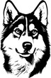 Illustration of a husky in black and white style.