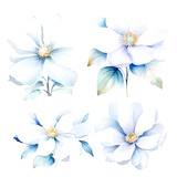 Fototapeta Motyle - set of white floral watercolor, flower watercolor, leaves watercolor	