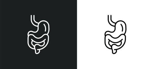 Poster - digestive system line icon in white and black colors. digestive system flat vector icon from digesti