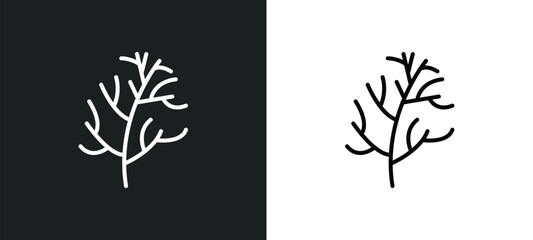 Poster - dill line icon in white and black colors. dill flat vector icon from dill collection for web, mobile apps and ui.