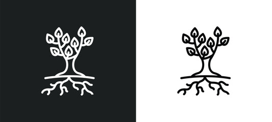 Wall Mural - tree and roots line icon in white and black colors. tree and roots flat vector icon from tree roots 