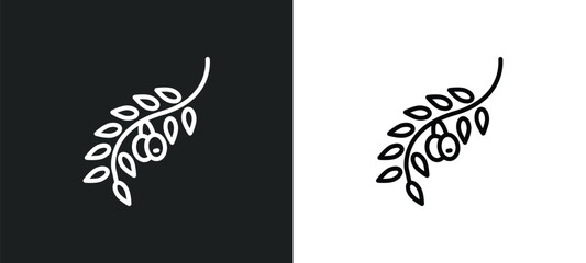 Poster - olives on a branch line icon in white and black colors. olives on a branch flat vector icon from olives on a branch collection for web, mobile apps and ui.
