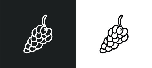 Poster - bunch of grapes line icon in white and black colors. bunch of grapes flat vector icon from bunch of grapes collection for web, mobile apps and ui.