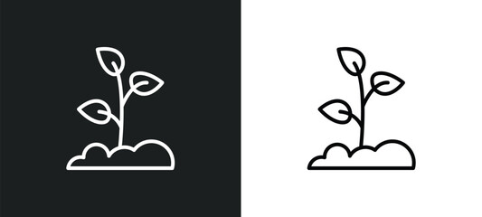 Poster - reforestation line icon in white and black colors. reforestation flat vector icon from reforestation