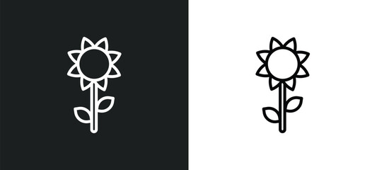 Poster - sunflower line icon in white and black colors. sunflower flat vector icon from sunflower collection for web, mobile apps and ui.
