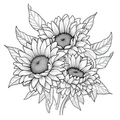 Wall Mural - Cute Sunflower flower in coloring page style illustration. Line art painting. Generative AI
