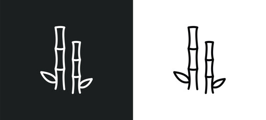 Poster - bamboo plant from japan line icon in white and black colors. bamboo plant from japan flat vector ico