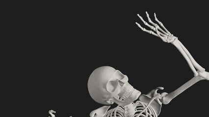 Wall Mural - skeleton posing 3d render with black background
