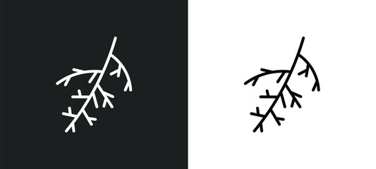 Poster - larch leaf line icon in white and black colors. larch leaf flat vector icon from larch leaf collecti