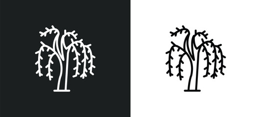 Poster - willow line icon in white and black colors. willow flat vector icon from willow collection for web, 