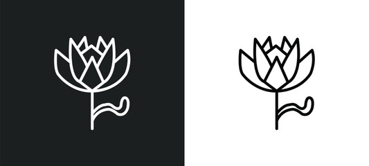 Aufkleber - protea line icon in white and black colors. protea flat vector icon from protea collection for web, 